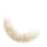 Lenstown Joy Brown Nude Brown Monthly Contact Lens (2 Pack)